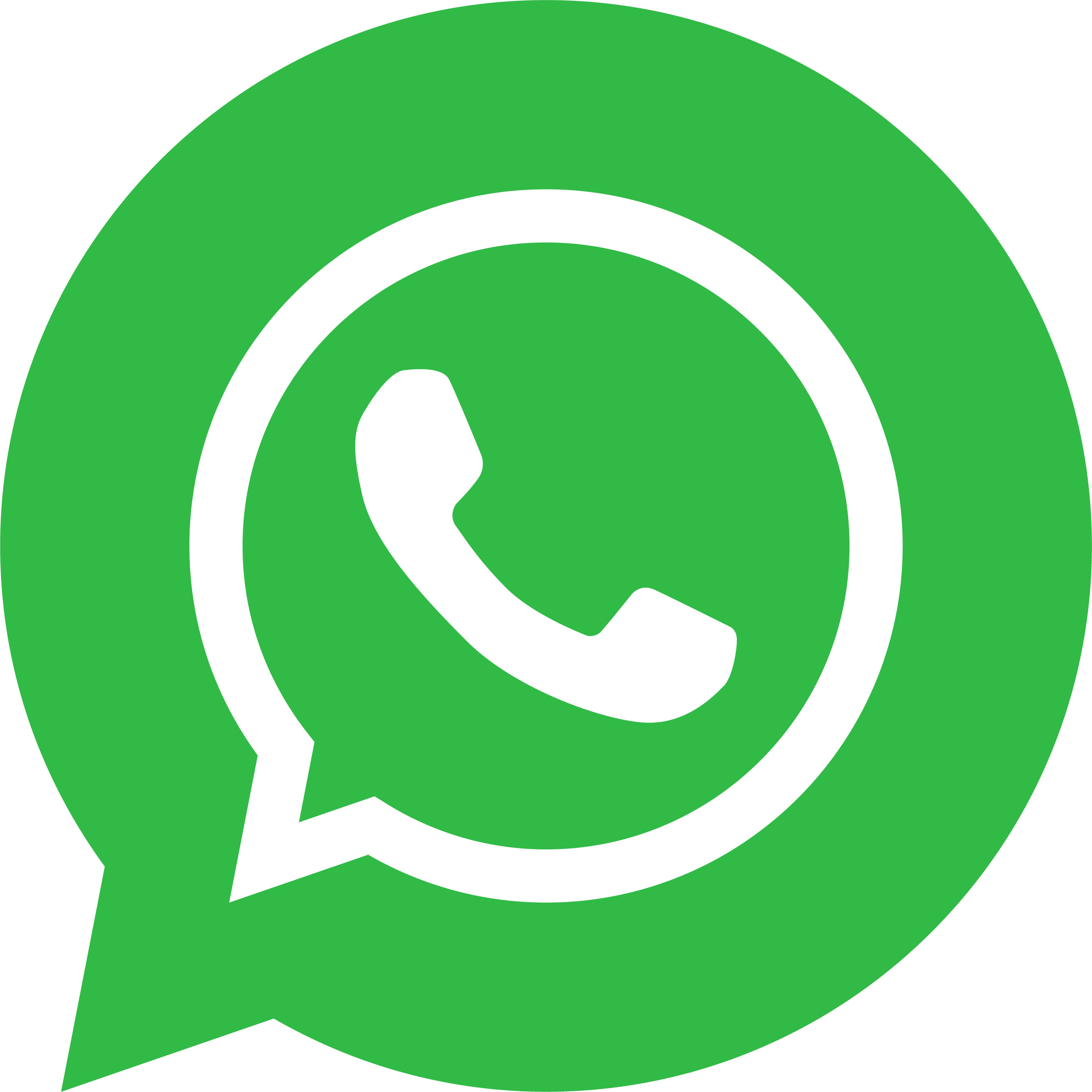 WhatsApp Logo